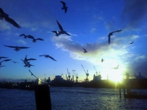 Hamburg Port [Photograph]